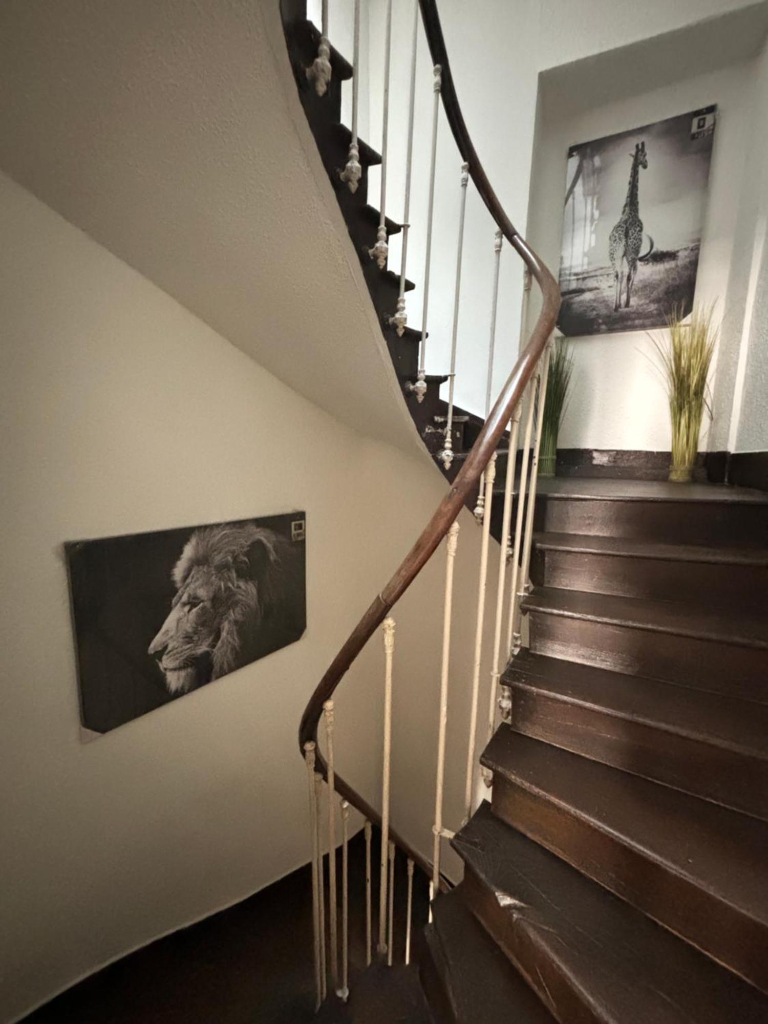 شقة Le Duplex Safari سانت إينيو المظهر الخارجي الصورة